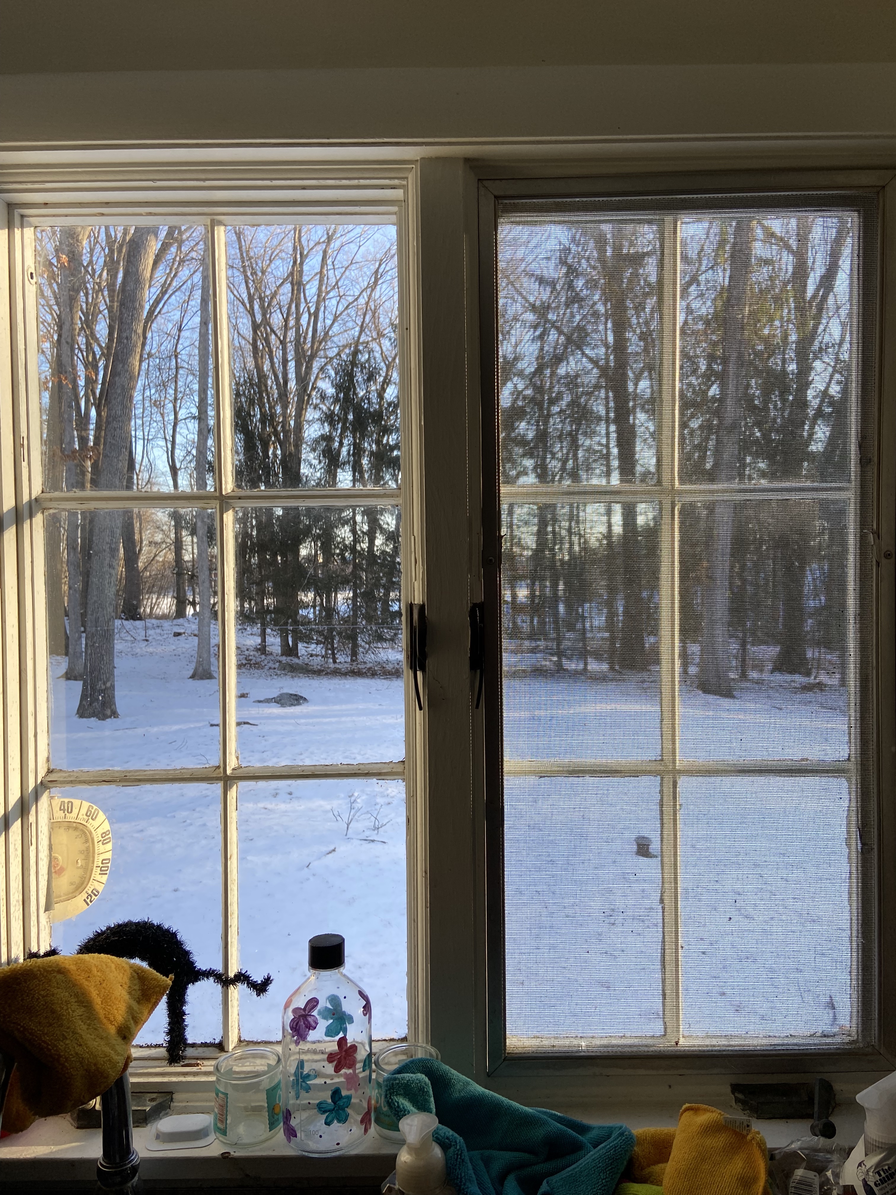 This is an image of the backyard as seen through the kitchen window. The view out the window is of a snowy landscape. 