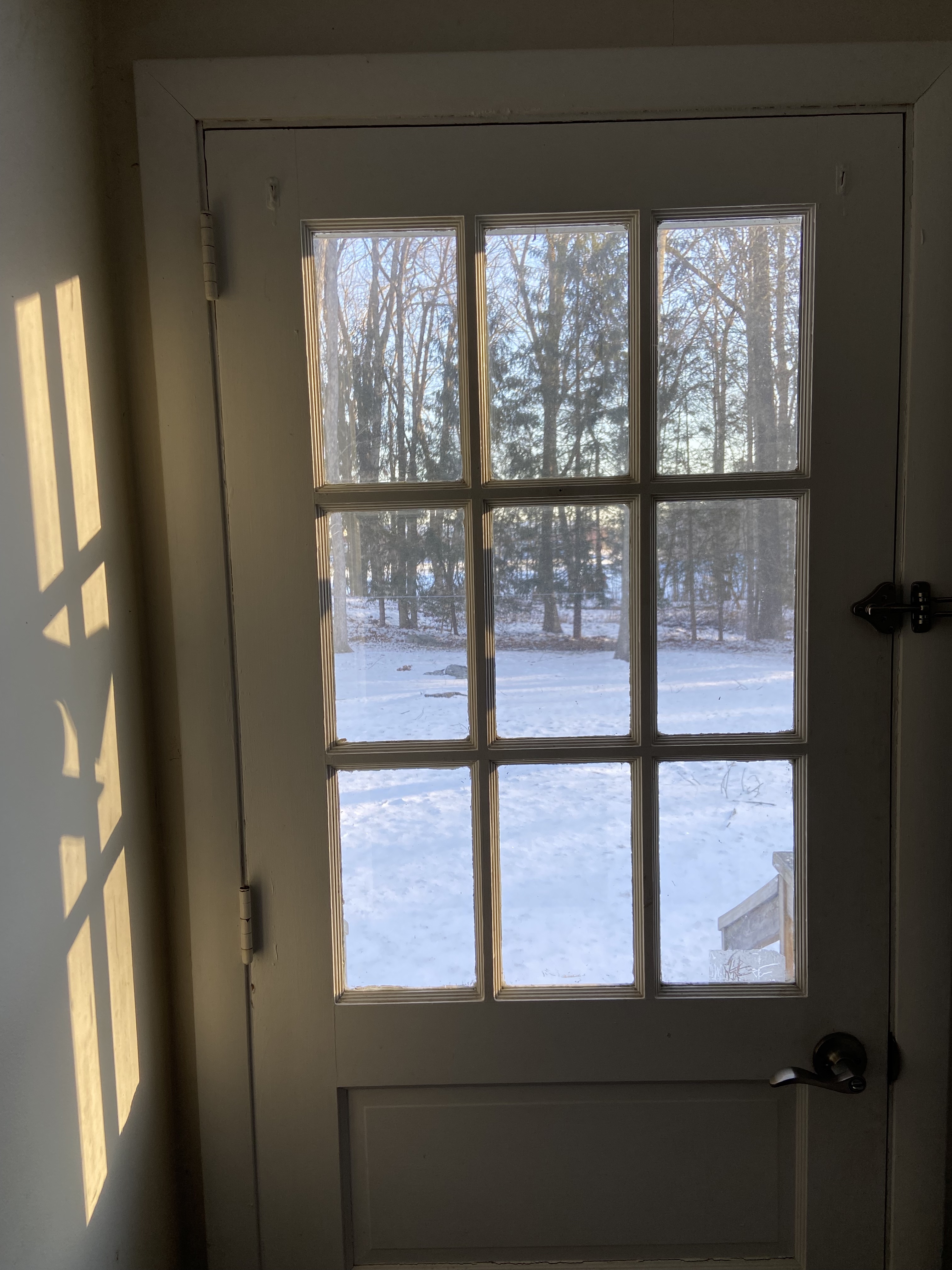 This is an image of the backyard of a house as seen through the back door window. The view through the window is of a snowy landscape with trees in the background.